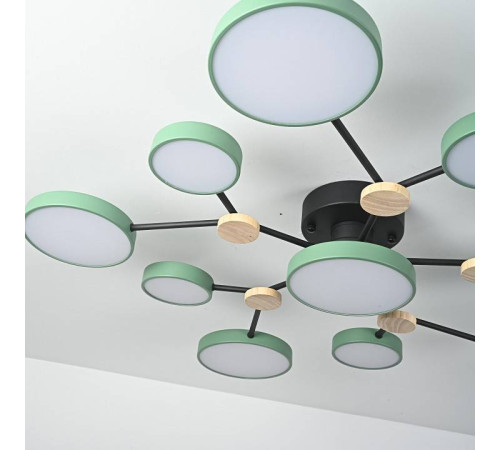 Потолочная люстра Imperiumloft GAMMA gamma01