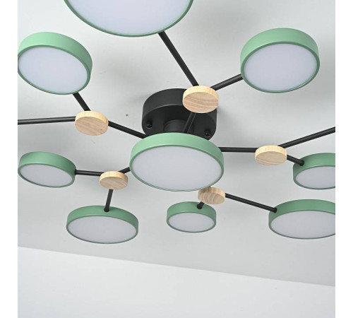 Потолочная люстра Imperiumloft GAMMA gamma01