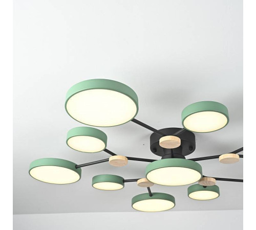 Потолочная люстра Imperiumloft GAMMA gamma01