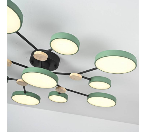 Потолочная люстра Imperiumloft GAMMA gamma01