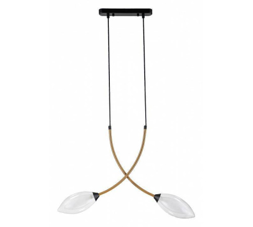 Подвесной светильник Indigo Fiore 13001/2P Black
