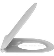 Крышка-сиденье для унитаза Jacob Delafon Rodin+ с микролифтом E23280-00