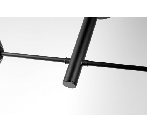 Светильник на штанге Lampit FINO TP 2007-2 BK
