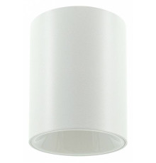 Накладной светильник LIGHTERA Shamrock LE200CL-1W