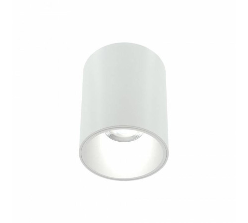 Накладной светильник LIGHTERA Shamrock LE200CL-1W