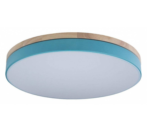 Накладной светильник Loft it Axel 10001/36 Blue