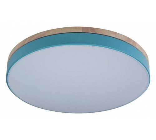 Накладной светильник Loft it Axel 10001/36 Blue