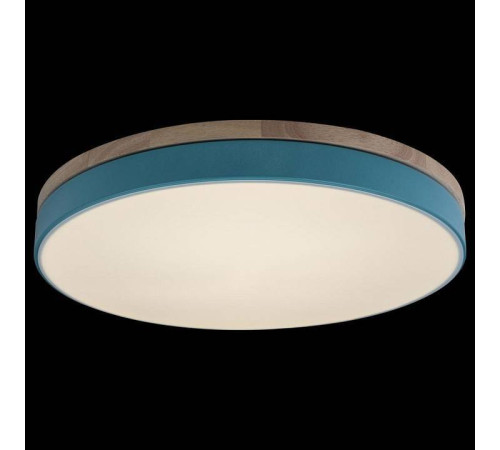 Накладной светильник Loft it Axel 10001/36 Blue