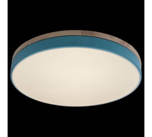 Накладной светильник Loft it Axel 10001/36 Blue
