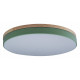 Накладной светильник Loft it Axel 10001/36 Green