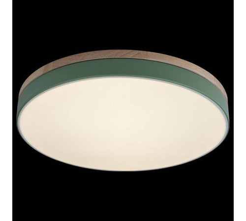 Накладной светильник Loft it Axel 10001/36 Green