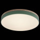 Накладной светильник Loft it Axel 10001/36 Green