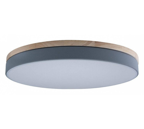 Накладной светильник Loft it Axel 10001/36 Grey