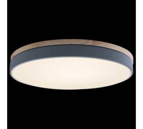 Накладной светильник Loft it Axel 10001/36 Grey