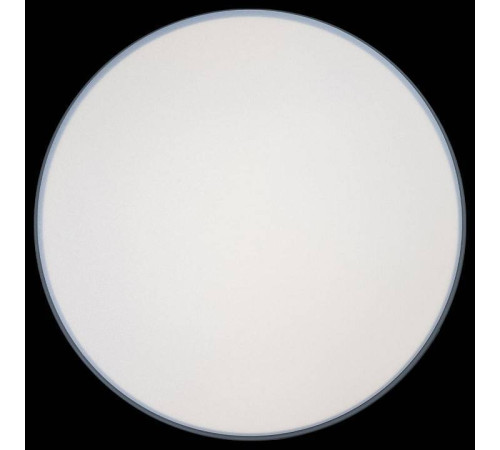 Накладной светильник Loft it Axel 10001/36 Grey