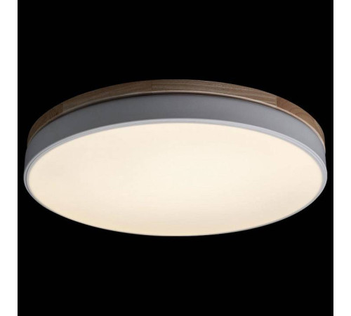 Накладной светильник Loft it Axel 10001/36 White