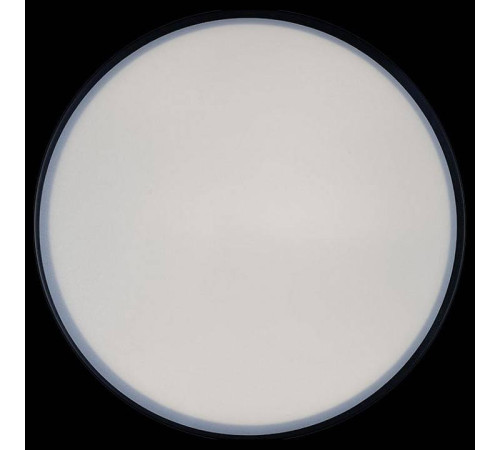 Накладной светильник Loft it Axel 1 10002/12 Black