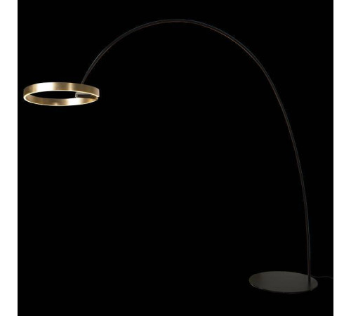 Торшер Loft it Ring 10027