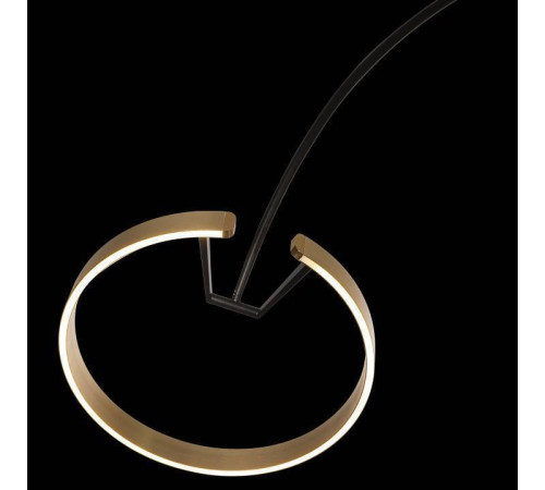 Торшер Loft it Ring 10027