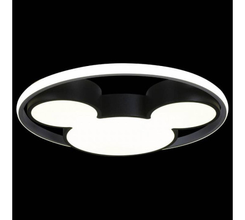 Накладной светильник Loft it Mike 10165