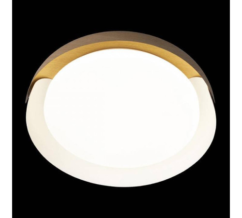 Накладной светильник Loft it Coin 10198 White