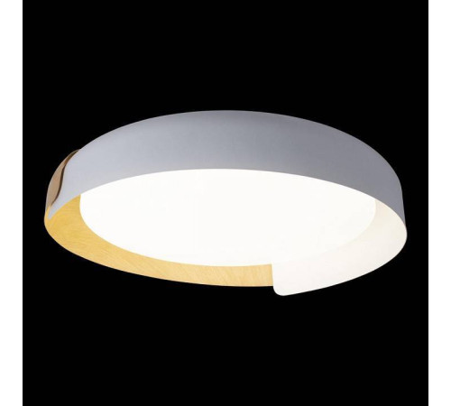 Накладной светильник Loft it Coin 10198 White