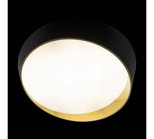 Накладной светильник Loft it Coin 10199 Black