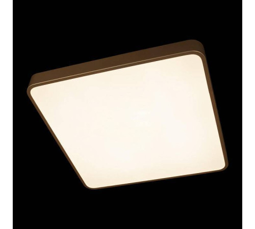 Накладной светильник Loft it Flims 10228/D