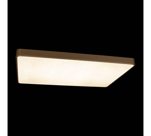 Накладной светильник Loft it Flims 10228/E