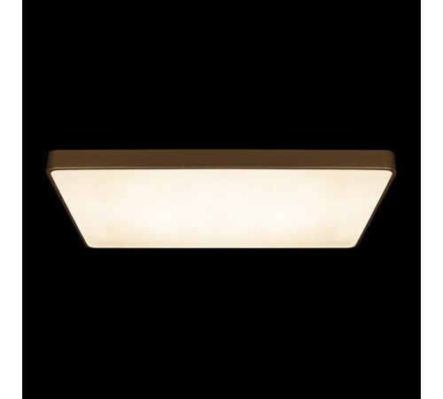 Накладной светильник Loft it Flims 10228/E