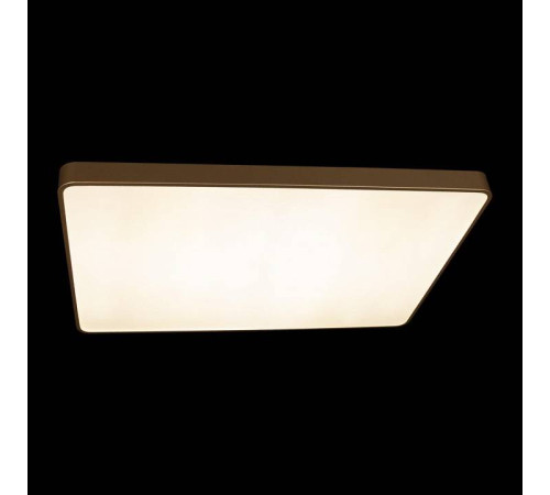 Накладной светильник Loft it Flims 10228/E