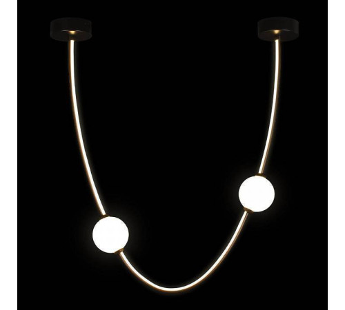 Подвесной светильник Loft it Embrace 10242/600 Black