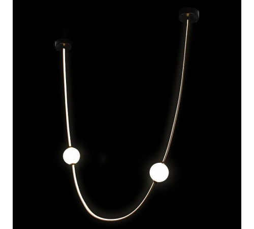 Подвесной светильник Loft it Embrace 10242/800 Black