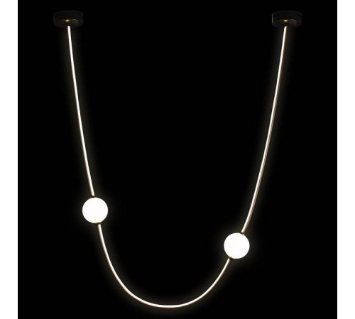 Подвесной светильник Loft it Embrace 10242/800 Black