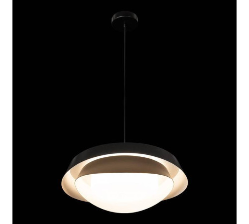 Подвесной светильник Loft it Petale 10256P Black