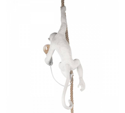 Подвесной светильник Loft It Monkey 10314P