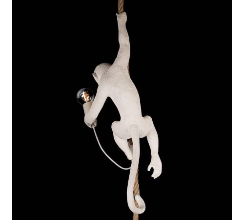 Подвесной светильник Loft it Monkey 10314P