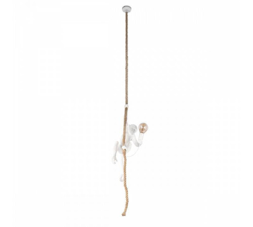 Подвесной светильник Loft It Monkey 10314P