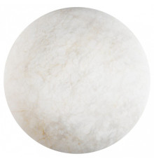 Накладной светильник Loft it Emi 10414W/XL