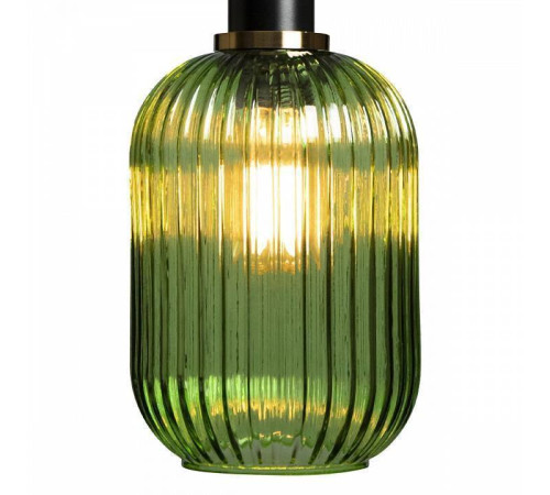 Подвесной светильник Loft it Iris 2 2072-A+BL