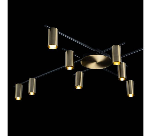 Потолочная люстра Loft it Tribes 8120C-10