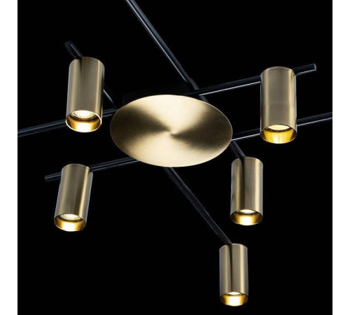 Потолочная люстра Loft it Tribes 8120C-10