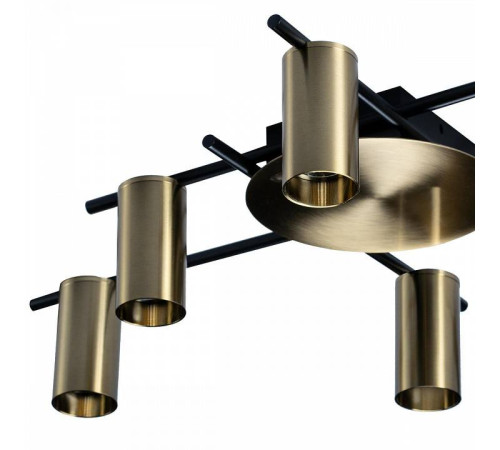 Потолочная люстра Loft it Tribes 8120C-6