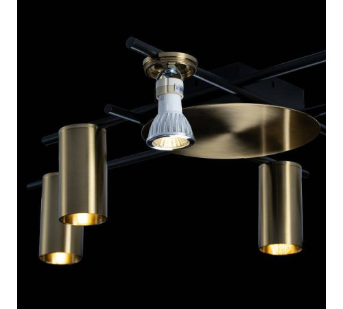 Потолочная люстра Loft it Tribes 8120C-6