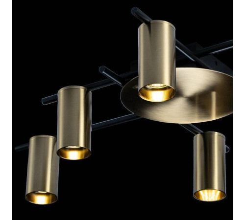 Потолочная люстра Loft it Tribes 8120C-6