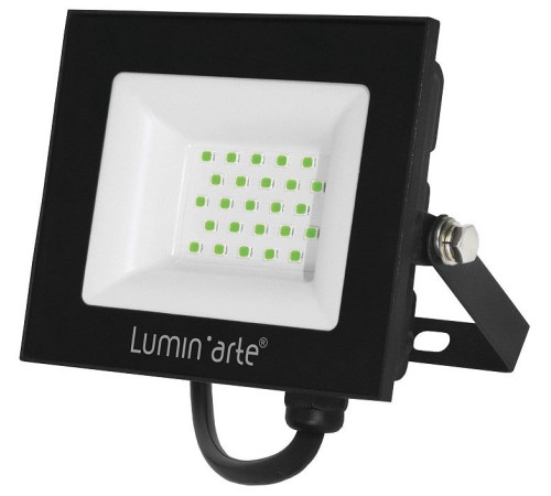 Настенно-потолочный прожектор Luminarte LFL LFL-30W/07