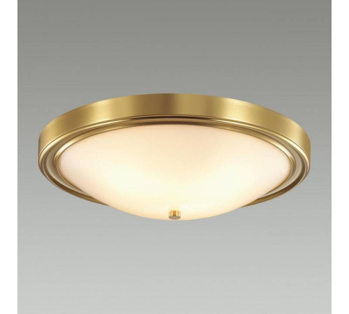 Накладной светильник Lumion Nina 5259/4C