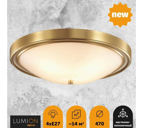 Накладной светильник Lumion Nina 5259/4C