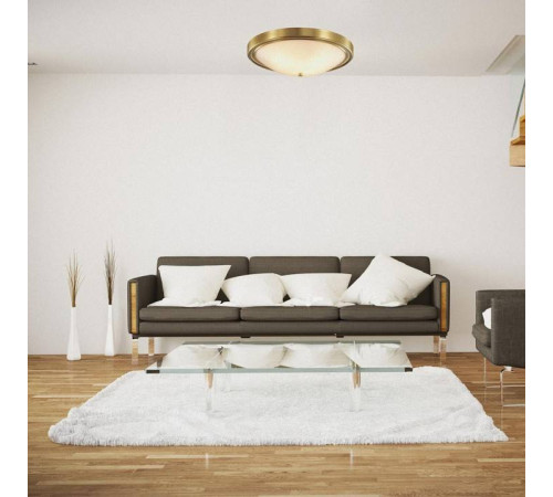 Накладной светильник Lumion Nina 5259/4C