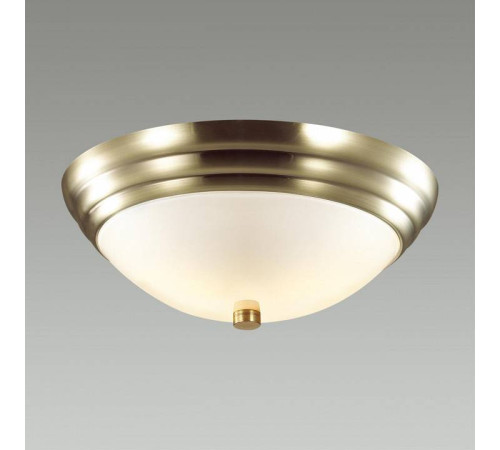 Накладной светильник Lumion Kayla 5262/2C